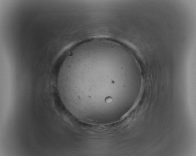 X0000113931255200910091555