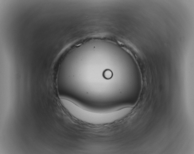 X0000113931256200910091555