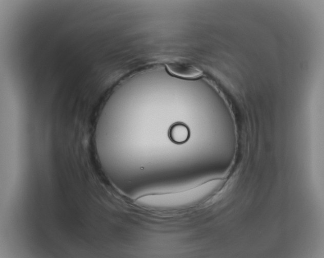 X0000113931257200910091555