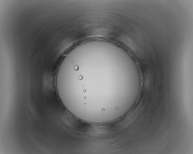 X0000113931258200910091555