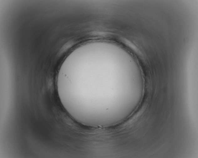 X0000113931259200910091555