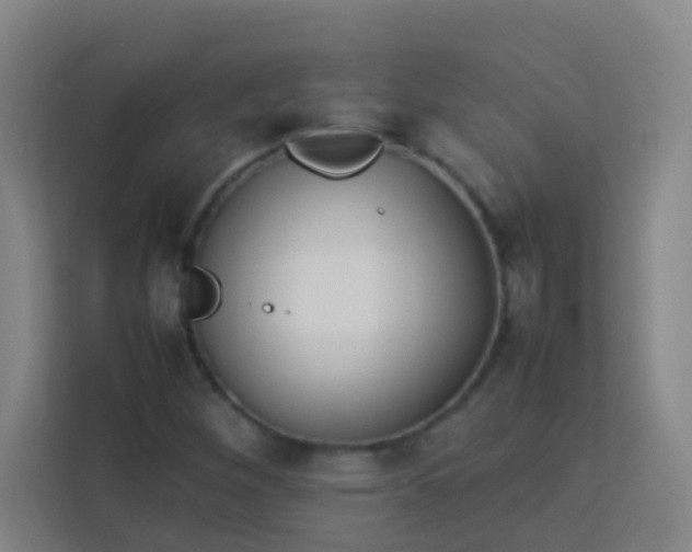 X0000113931260200910091555