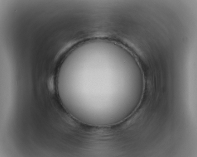 X0000113931262200910091554