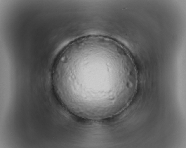 X0000113931263200910091554