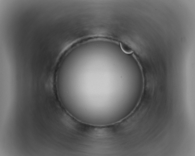 X0000113931264200910091554