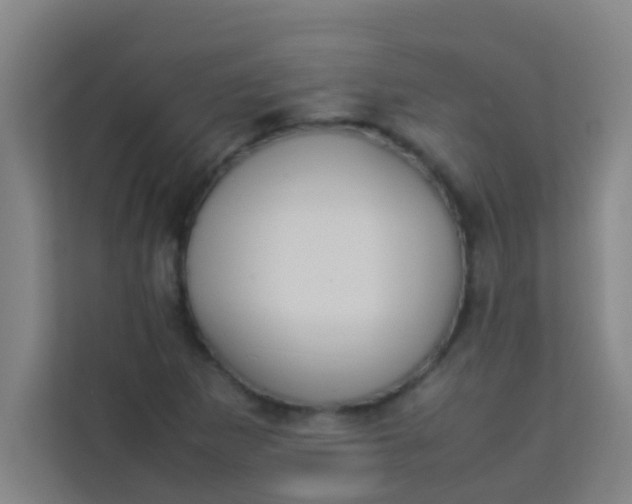 X0000113931265200910091554