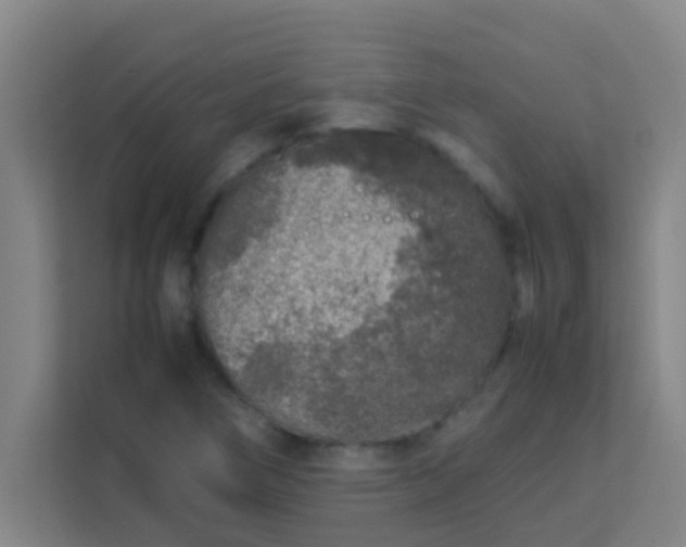 X0000113931266200910091554