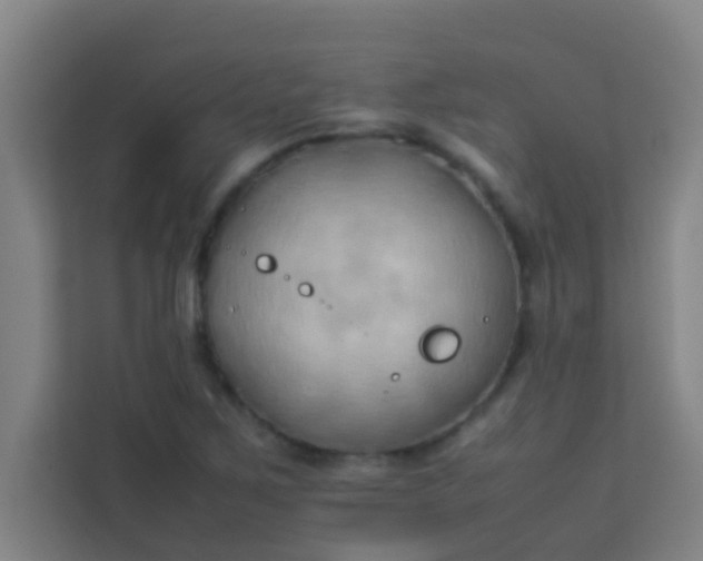 X0000113931267200910091554