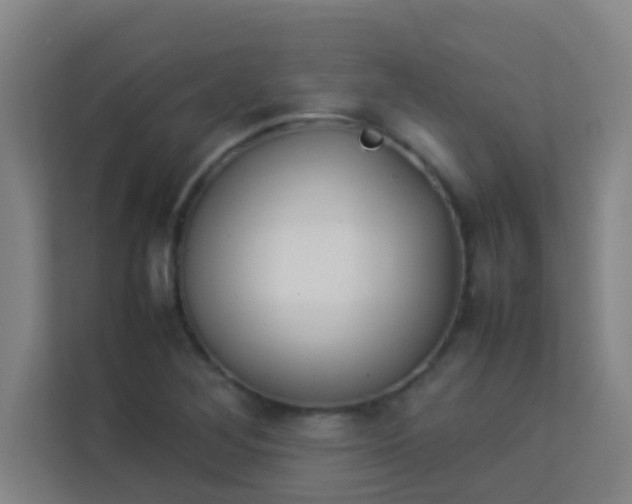 X0000113931268200910091554