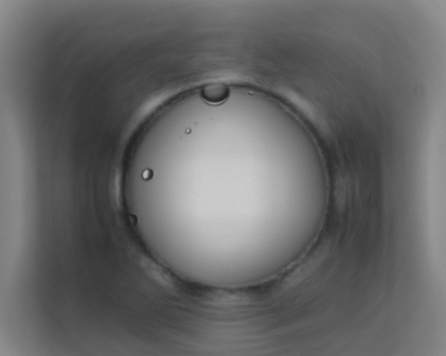 X0000113931270200910091554