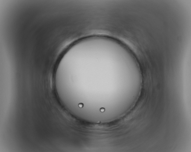 X0000113931271200910091554