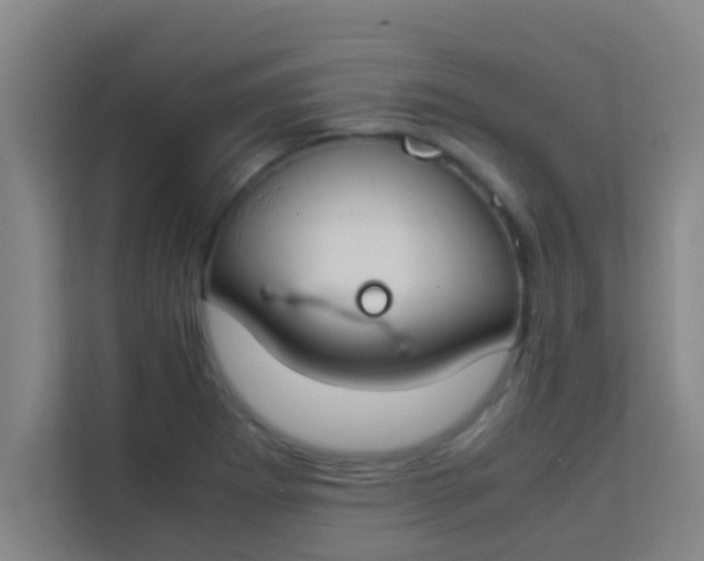 X0000113931273200910091554