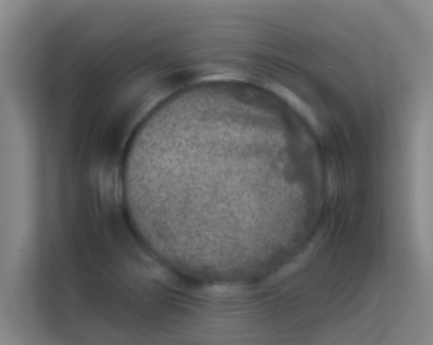 X0000113931274200910091554