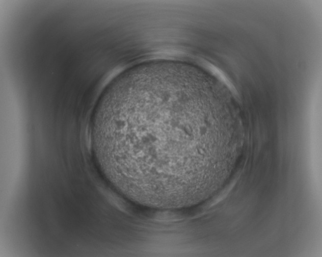 X0000113931275200910091554