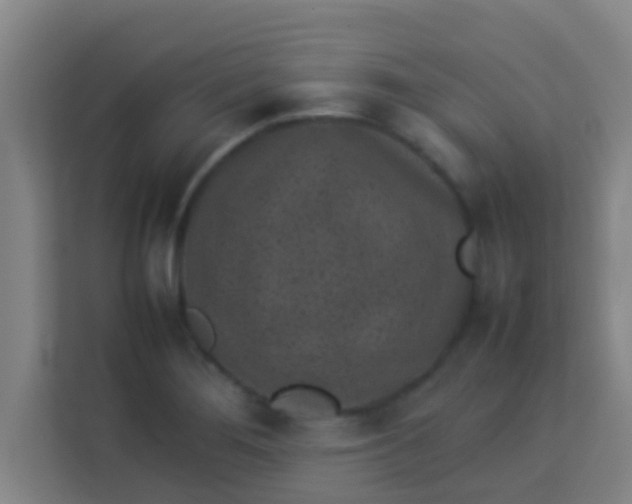 X0000113931276200910091554