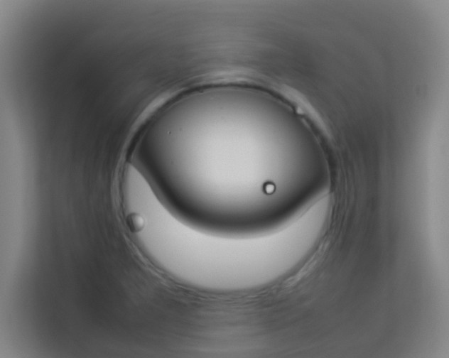 X0000113931277200910091554