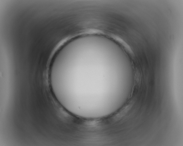 X0000113931278200910091554