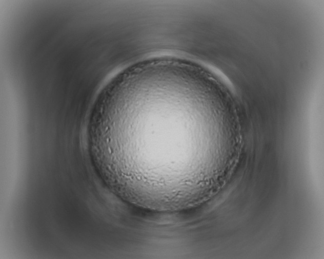 X0000113931279200910091554