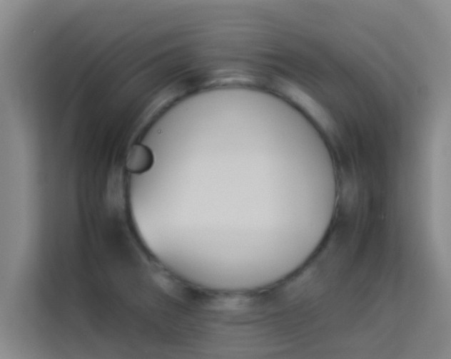 X0000113931282200910091554