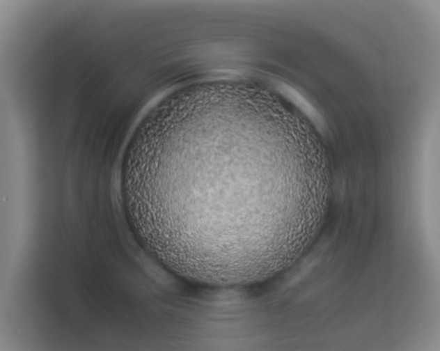 X0000113931283200910091554