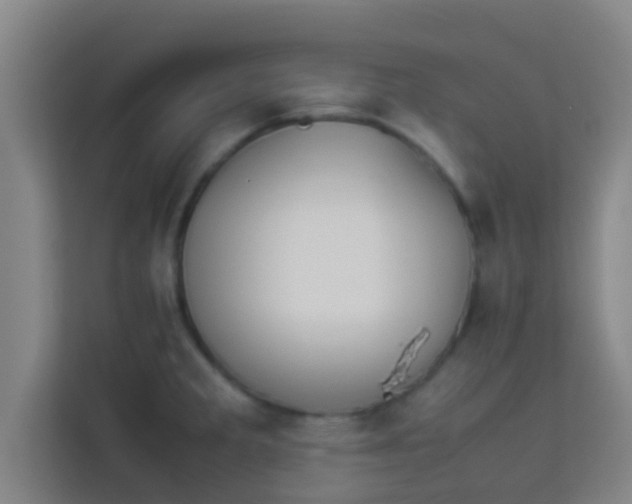 X0000113931285200910091554