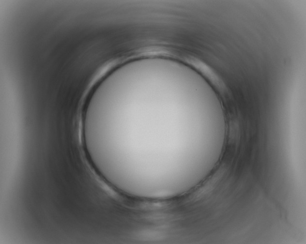 X0000113931286200910091554