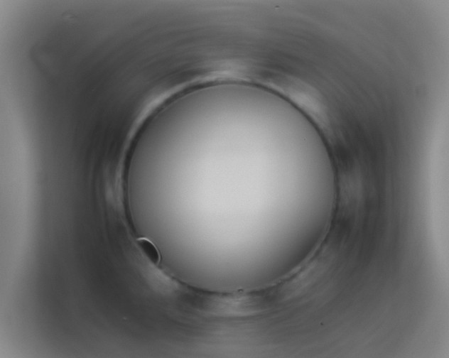 X0000113931288200910091554