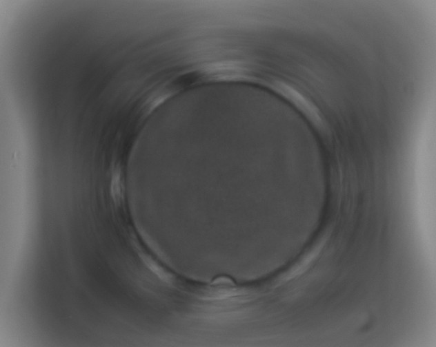 X0000113931289200910091554