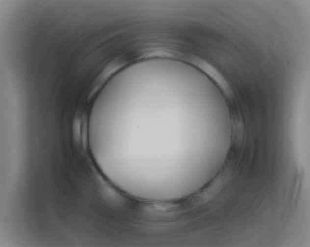 X0000113931290200910091554