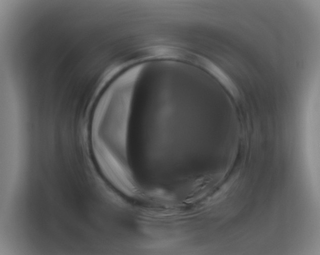 X0000113931291200910091554