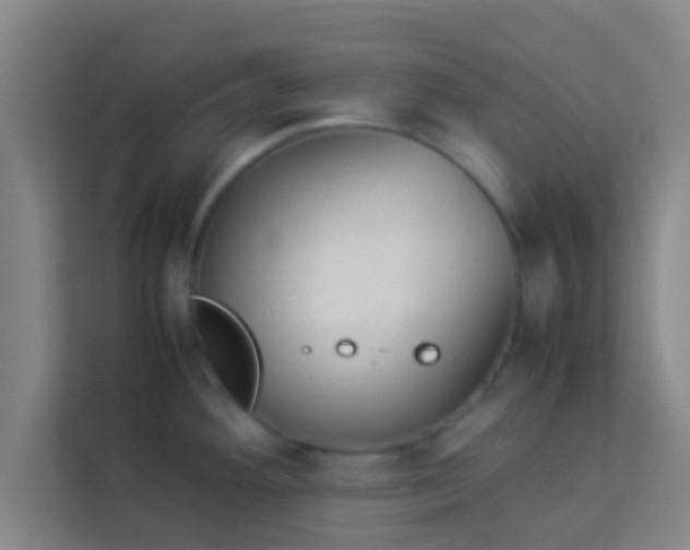 X0000113931292200910091554