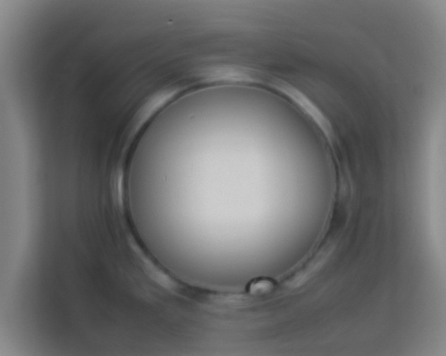 X0000113931293200910091554