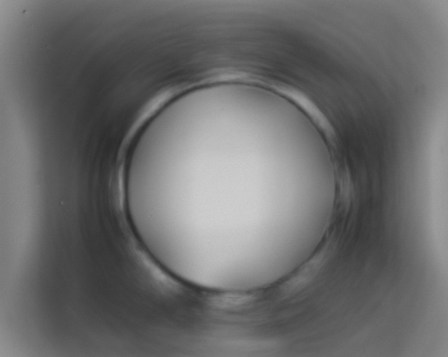 X0000113931294200910091554