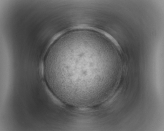 X0000113931295200910091554