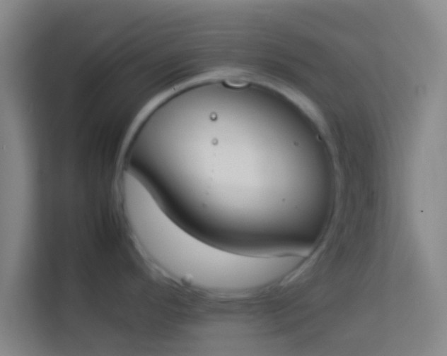 X0000113931296200910091554