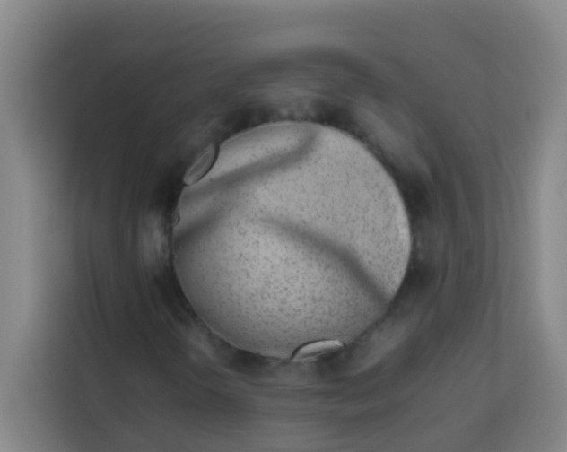 X0000113931298200910091553