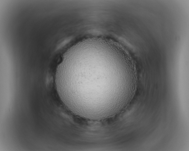 X0000113931302200910091553