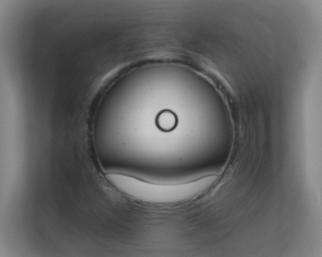 X0000113931304200910091554