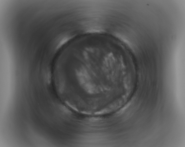 X0000113931306200910091554