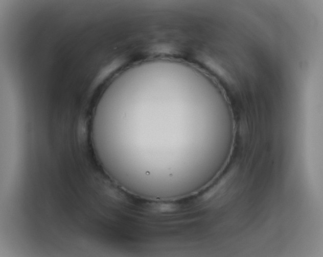 X0000113931309200910091554