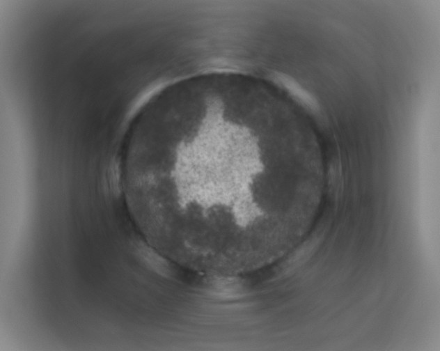 X0000113931310200910091554