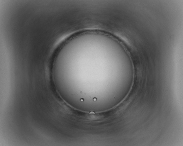 X0000113931311200910091554