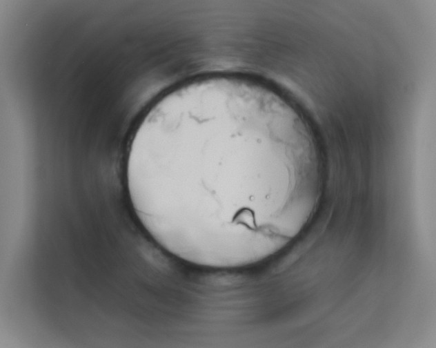 X0000113931314200910091554