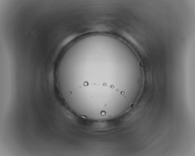 X0000113931315200910091554