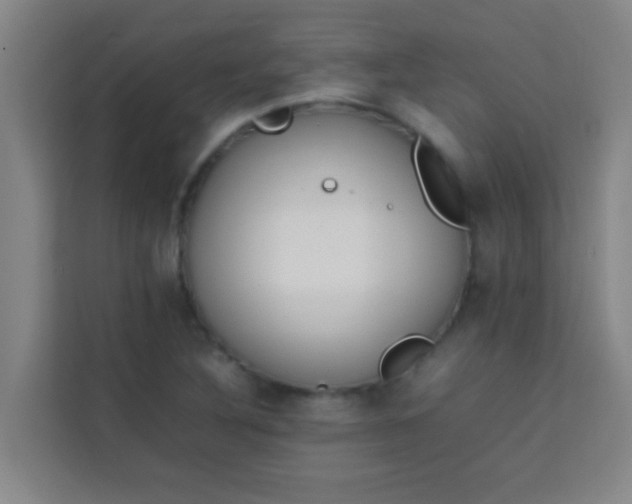 X0000113931316200910091554