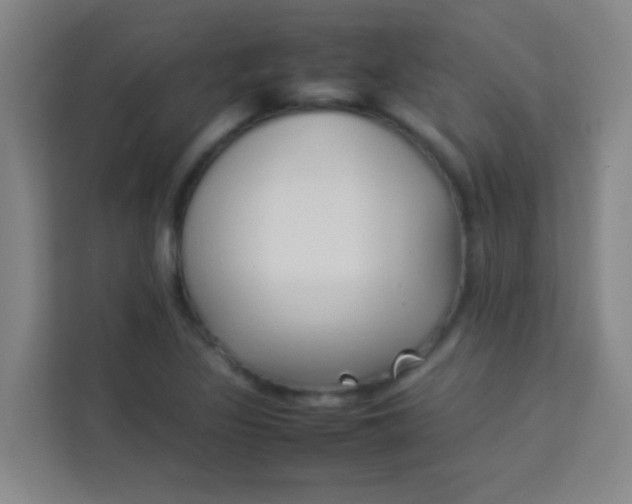 X0000113931317200910091554