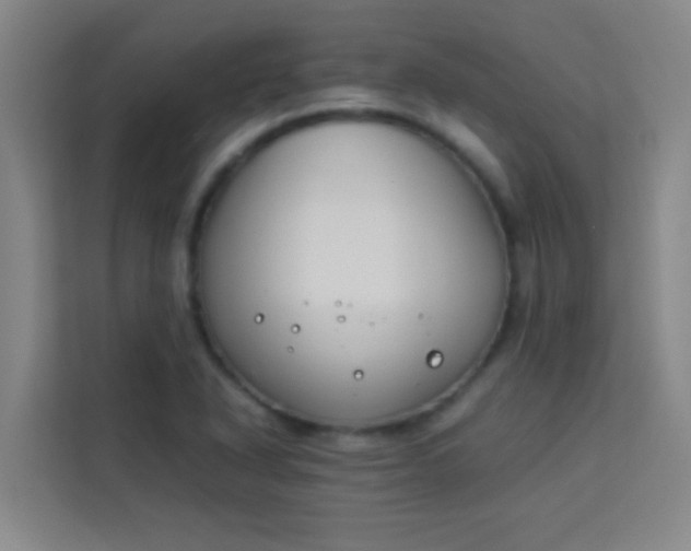 X0000113931318200910091554