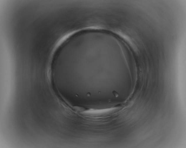 X0000113931319200910091554