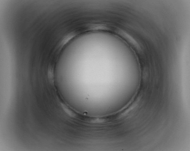 X0000113931321200910091554