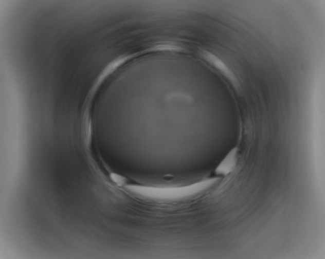 X0000113931323200910091554